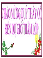 Bài 13. Dấu ngoặc đơn và dấu hai chấm