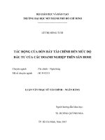 tác động của đòn bẩy tài chính đến mức độ đầu tư của các doanh nghiệp trên sàn hose
