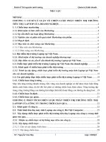 Tìm hiểu chiến lược phát triển thị trường tiêu thụ laptop tại việt nam của công ty TNHH TM và DV tin học hà việt 