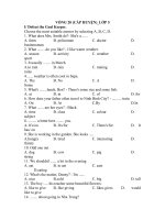 Đề thi IOE lớp 5 vong 19,20 cấp huyện