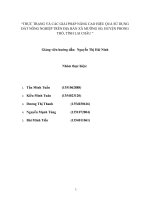 THỰC TRẠNG và các GIẢI PHÁP NÂNG CAO HIỆU QUẢ sử DỤNG đất NÔNG NGHIỆP TRÊN địa bàn