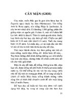 Ebook Hỏi đáp về kỹ thuật canh tác cây ăn trái (Quyển 6- Cây đu đủ, cây mận)- Phần 2