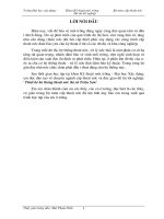 Đồ Án Tốt Nghiệp Thiết Kế Hệ Thống Thoát Nước Thị Xã Triệu Sơn