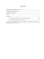 Một số biện pháp nâng cao hiệu quả sử dụng vốn lưu động tại công ty cổ phần viglacera hạ long 