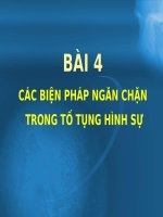 BIỆN PHÁP NGĂN CHẶN TRONG tố TỤNG HÌNH sự