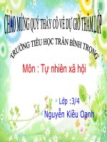 bài giảng bàn tay nặng bột tự nhiên xã hội lớp 3 bài 45 lá cây hay