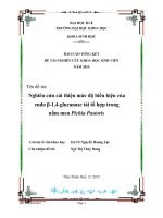 Nghiên cứu cải thiện mức độ biểu hiện của  endo β1,4glucanase tái tổ hợp trong  nấm men Pichia Pastoris