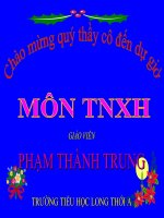 bài giảng bàn tay nặng bột tự nhiên xã hội lớp 3 bài 45 lá cây rất hay