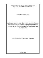 Chế tạo, nghiên cứu tính chất quang và định hướng ứng dụng trong tán xạ raman tăng cường bề mặt của các hệ dây nanô silic xếp thẳng hàng