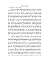 Nâng cao hiệu quả quản lý vốn lưu động tại công ty cổ phần nhựa và cơ khí hải phòng 