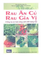 Ebook Rau ăn củ, rau gia vị- Trồng rau an toàn, năng suất, chất lượng cao - Phần 1