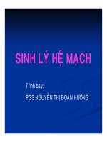 Bài giảng sinh lý hệ mạch   PGS  nguyễn thị đoàn hương