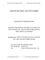 QUẢN TRỊ NHÂN SỰ TẠI CÔNG TY CỔ PHẦN SẢN XUẤT NGUYÊN VẬT  LIỆU XÂY DỰNG TRIỀU DƯƠNG THỰC TRẠNG VÀ GIẢI PHÁP