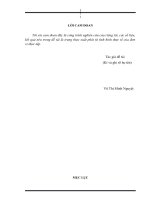 Phân tích tình hình sử dụng vốn lưu động và biện pháp nâng cao hiệu quả sử dụng vốn lưu động tại công ty cổ phần HAPACO h p p   