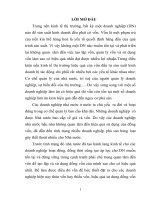 Một số giải pháp nhằm nâng cao hiệu quả sử dụng vốn cố định của công ty đầu tư và phát triển công nghệ truyền hình việt nam 