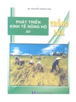 Ebook Phát triển kinh tế nông hộ từ trồng lúa - KS. Nguyễn Hoàng Anh