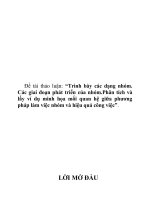 Trình bày các dạng nhóm. Các giai đoạn phát triển của nhóm.Phân tích và lấy ví dụ minh họa mối quan hệ giữa phương pháp làm việc nhóm và hiệu quả công việc