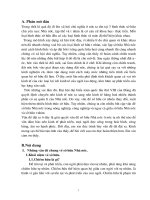 Sở Hữu Nhà Nước Ở Nước Ta - Thực Trạng Và Giải Pháp