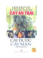 Ebook Hỏi đáp về kỹ thuật canh tác cây ăn trái (Quyển 6- Cây đu đủ, cây mận)- Phần 1