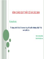 Hormon vùng vỏ tuyến thượng thận và thùy sau tuyến yên