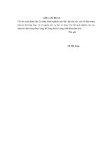 Nâng cao năng lực tài chính của các ngân hàng thương mại cổ phần ở Việt nam hiện nay