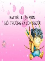bài tiểu luận môi trường và con người