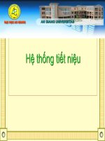 Hệ Tiết Niệu  Chăn Nuôi Thú Y