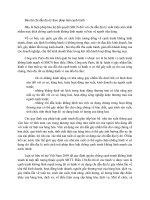 Bảo hộ chỉ dẫn địa lý theo pháp luật cạnh tranh