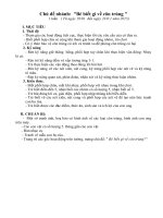 Khám phá khoa học bé biết gì về côn trùng