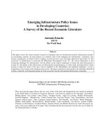 Emerging Infrastructure Policy Issues  in Developing Countries: A Survey of the Recent Economic Literature