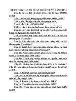 ĐỀ CƯƠNG các bộ LUẬT QUỐC tế về HÀNG hải 