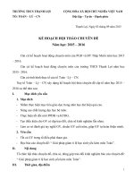 Kế hoạch chuyên đề tổ Toán