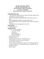 Hoạt động nêu gương cuối ngày một số loại hoa