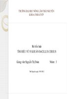 Tìm hiểu về vi khuẩn bacillus cereus