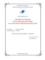 Lợi nhuận và rủi ro từ đa dạng hóa thu nhập của ngân hàng thương mại việt nam 