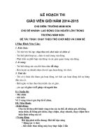 Kế hoạch thi giáo viên giỏi năm 2014 2015 chạy theo trò chơi mèo và chim sẻ