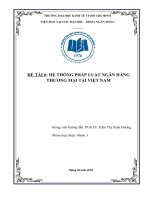 Tiểu luận môn nghiệp vụ ngân hàng thương mại hệ thống pháp luật ngân hàng thương mại tại việt nam