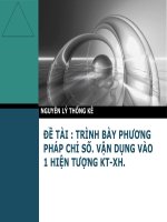 Slide thảo luận Nguyên lý thống kê: Trình bày phương pháp chỉ số. Vân dụng vào 1 hiện tượng KTXH