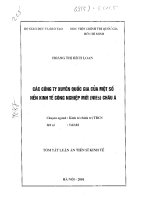 Các công ty xuyên quốc gia của một số nền kinh tế công nghiệp mới châu á 