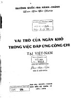 Vai trò của ngân khố trong việc đáp ứng công chi tại việt nam 