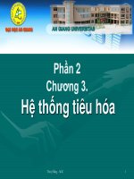 Hệ Tiêu Hóa  Chăn Nuôi Thú Y