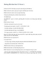 Hướng dẫn khai báo CO form a