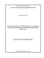 Tác động của đầu tư công đến đầu tư tư nhân và tăng trưởng kinh tế vùng kinh tế trọng điểm phía nam 