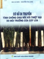 Cở sở di truyền tính chống chịu đối với thiệt hại do môi trường của cây lúa