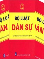 báo cáo bộ luật dân sự