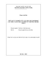 Chế tạo và nghiên cứu vật liệu multiferroic cấu trúc nanô cho cảm biến từ trường micro tesla tt 