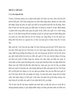 Thực hiện điều ước quốc tế_Những vấn đề lý luận và thức tiễn