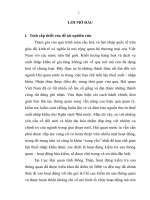 Hoàn thiện hoạt động kiểm tra sau thông quan nhằm chống thất thu thuế nhập khẩu tại cục hải quan đồng tháp 