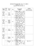 Kế hoạch dạy học môn tiếng Anh lớp 8