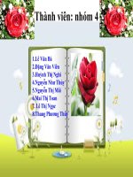 chuyên đề ô nhiem dat